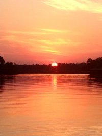 Hope4Tomorrow Hope4Tomorrow