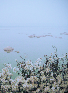 vintageteddy@gmail.com